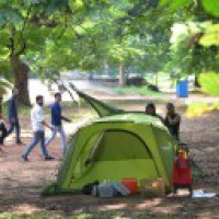 K'taka: DULT recommends closing Cubbon Park for motorised traffic, parking
