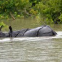 Assam flood situation worsens, 2.53 lakh people affected