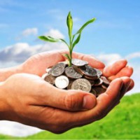 Rs 255 cr assets of companies fraudulently availing agri loans attached