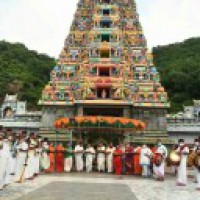 Vijayawada Kanakadurga temple chariot's silver lions missing