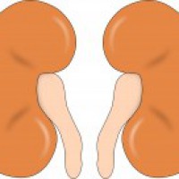 Kidney disease linked to higher death risk for Covid-19 patients: Study