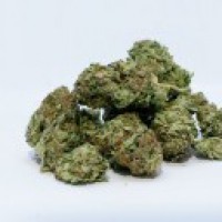 Marijuana - Karnataka's most peddled, seized drug in 6 months