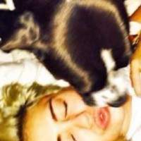 Miley Cyrus mourns pet dog's death with video tribute