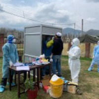 260 test positive as J&K COVID-19 deaths cross 100