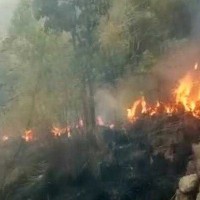 IAF swung into action to rescue 20 trapped students in forest fire in TN's Theni