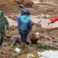 Five dead, 15 missing in Indonesia landslide