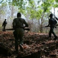 Five Maoists neutralized in Jharkhand