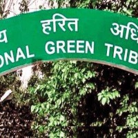 Clean Ganga: National Green Tribunal pulls up NMCG for failure to file compliance report