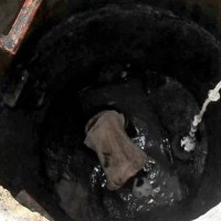 Seven die while cleaning septic tank in AP's Chittoor district