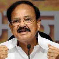 Attack on press freedom detrimental to national interests: VP