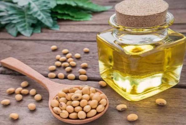 सोयाबीन और सोया तेल में रहेगी नरमी: एसएमसी सोयाबीन और सोया तेल में रहेगी नरमी: एसएमसी