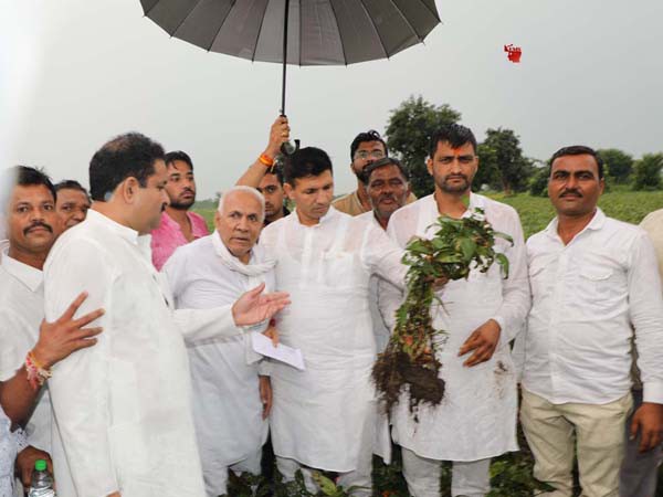 फसल क्षति सर्वे में किसानों की संतुष्टि का विशेष ध्यान रखा जाए- जीतू पटवारी फसल क्षति सर्वे में किसानों की संतुष्टि का विशेष ध्यान रखा जाए- जीतू पटवारी