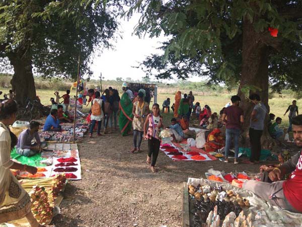 अक्षय नंवमी पर आंवला वृक्ष की महिलाओं की ने पूजा अक्षय नंवमी पर आंवला वृक्ष की महिलाओं की ने पूजा