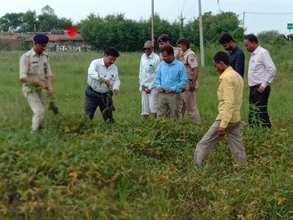 फसल सर्वे कार्य का निरीक्षण