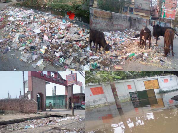 कैसे बनेगा अलीगढ़ स्मार्ट सिटी?मच्छरों का भारी प्रकोप कैसे बनेगा अलीगढ़ स्मार्ट सिटी?मच्छरों का भारी प्रकोप