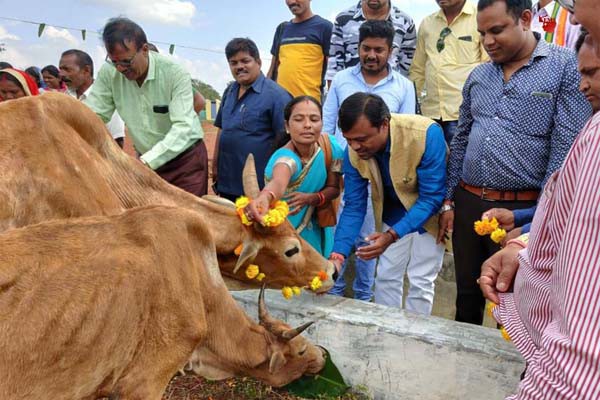 बस्तर जिले के गोठानों में हर्षोल्लास के साथ किया गया गोवर्धन पूजा गाय-बैलों की पूजा-अर्चना के साथ खिलाई गई खिचड़ी बस्तर जिले के गोठानों में हर्षोल्लास के साथ किया गया गोवर्धन पूजा गाय-बैलों की पूजा-अर्चना के साथ खिलाई गई खिचड़ी