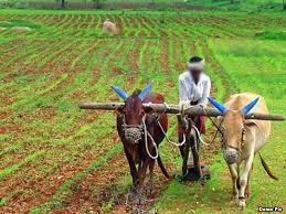किसानों का पैसा लेकर भागे व्यापारी की संपत्ति होगी कुर्क नए कृषि कानून से किसानों को हो रहा फायदा किसानों का पैसा लेकर भागे व्यापारी की संपत्ति होगी कुर्क नए कृषि कानून से किसानों को हो रहा फायदा