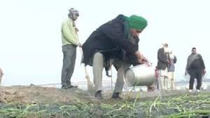 आंदोलन के बीच निरंकारी मैदान में फसल उगाने लगे किसान आंदोलन के बीच निरंकारी मैदान में फसल उगाने लगे किसान