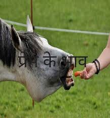 प्रेम भाव सरसाइये, पुलकित हो मन प्राण प्रेम भाव सरसाइये, पुलकित हो मन प्राण
