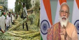 चीनी निर्यात पर सब्सिडी देगी मोदी सरकार, 5 करोड़ किसानों को मिलेगा फायदा चीनी निर्यात पर सब्सिडी देगी मोदी सरकार, 5 करोड़ किसानों को मिलेगा फायदा