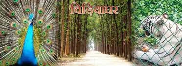 नए साल पर खुले रहेंगे ऐतिहासिक स्मारक लेकिन बंद रहेगा चिड़ियाघर नए साल पर खुले रहेंगे ऐतिहासिक स्मारक लेकिन बंद रहेगा चिड़ियाघर