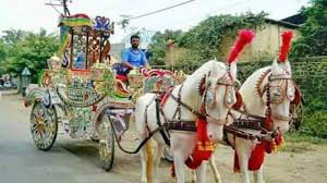 घोड़ा-बग्गी का लाइसेंस न होने पर देना होगा दोगुना जुर्माना घोड़ा-बग्गी का लाइसेंस न होने पर देना होगा दोगुना जुर्माना