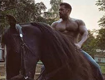 (रंगसंसार) बिना शर्ट के घोड़े पर बैठे नजर आए सलमान खान (रंगसंसार) बिना शर्ट के घोड़े पर बैठे नजर आए सलमान खान