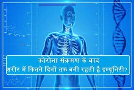 कोरोना संक्रमण के बाद पांच महीने के लिए रोग प्रतिरोधक क्षमता हो जाती है तैयार: शोध कोरोना संक्रमण के बाद पांच महीने के लिए रोग प्रतिरोधक क्षमता हो जाती है तैयार: शोध