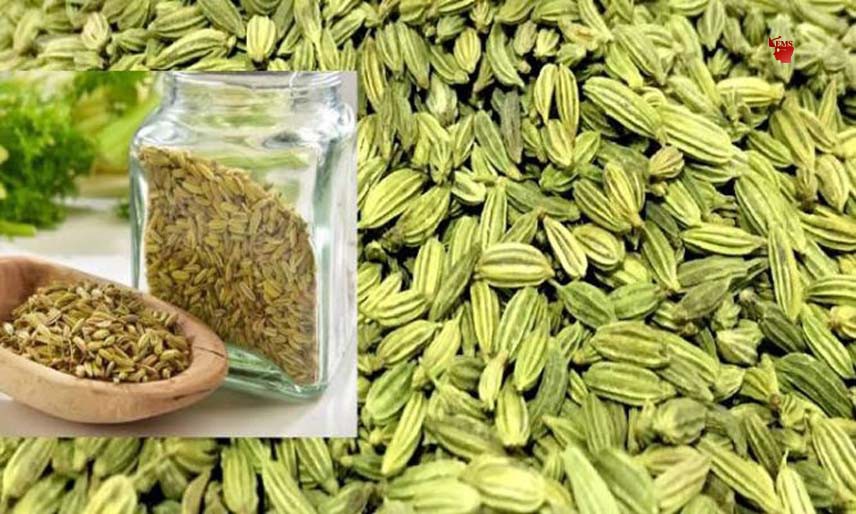 ऑंखों की रोशनी बढ़ाने और वजन घटाने में मददगार है सौंफ ऑंखों की रोशनी बढ़ाने और वजन घटाने में मददगार है सौंफ