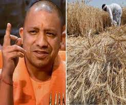 गेहूं क्रय केन्द्रों पर किसानों को न हो कोई असुविधा-योगी गेहूं क्रय केन्द्रों पर किसानों को न हो कोई असुविधा-योगी