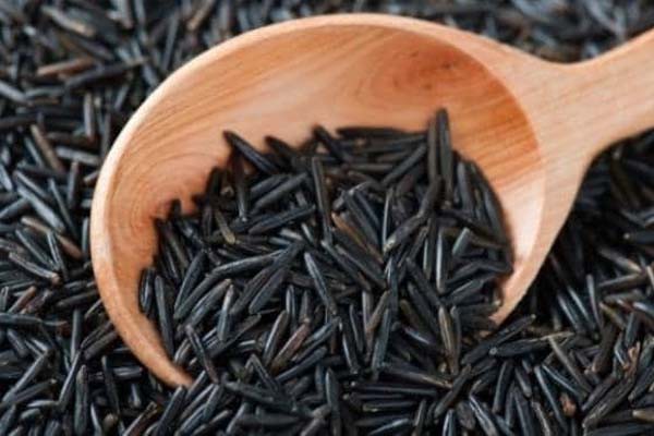 ब्लैक राइस करता है गंभीर बीमारियों से बचाव ब्लैक राइस करता है गंभीर बीमारियों से बचाव