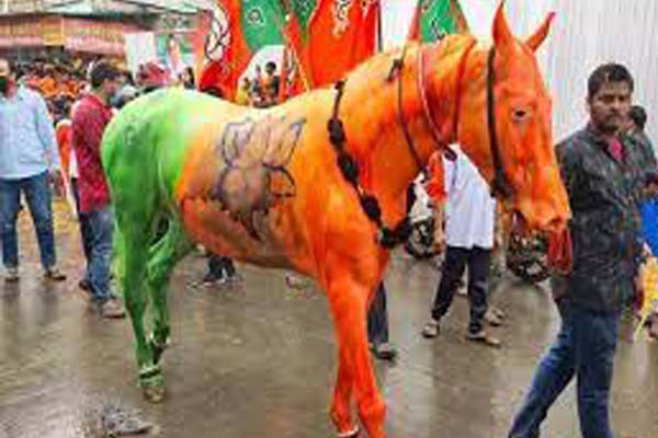 सिंधिया की जन आशीर्वाद यात्रा में इस्तेमाल घोड़े पर बवाल -मेनका गांधी ने दर्ज कराया केस सिंधिया की जन आशीर्वाद यात्रा में इस्तेमाल घोड़े पर बवाल -मेनका गांधी ने दर्ज कराया केस