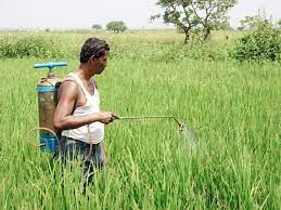 आधुनिक खेती और प्रदूषित होती धरती का मर्म!! आधुनिक खेती और प्रदूषित होती धरती का मर्म!!