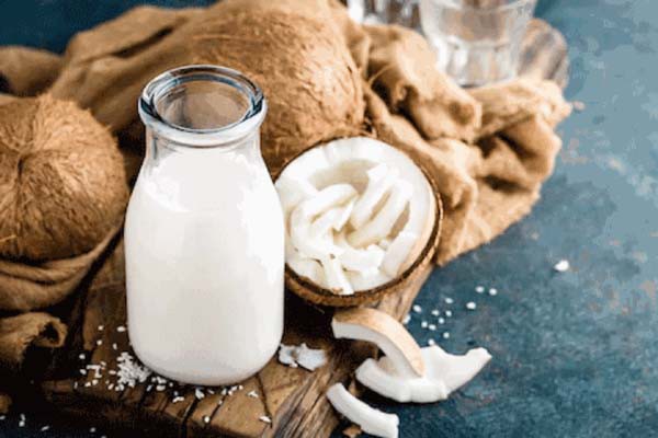 कोकोनट मिल्क पीने से इम्यूनिटी होती है स्ट्रॉन्ग -शरीर कई प्रकार के रोगों से रहता है दूर कोकोनट मिल्क पीने से इम्यूनिटी होती है स्ट्रॉन्ग -शरीर कई प्रकार के रोगों से रहता है दूर