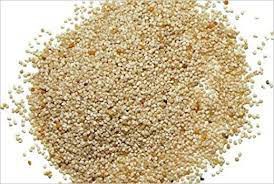 गुणकारी खस या खसखस गुणकारी खस या खसखस