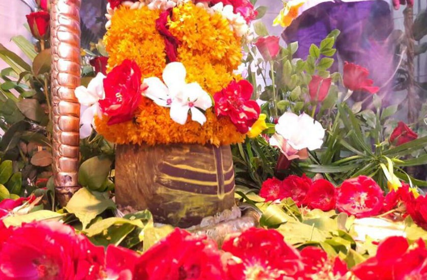 पूजा में फूलों का महत्व पूजा में फूलों का महत्व