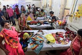 डेंगू के मरीजों की संख्या में हो रहा इजाफा -मरीजों के खून में कम हो जाती हैं प्लेटलेट्स डेंगू के मरीजों की संख्या में हो रहा इजाफा -मरीजों के खून में कम हो जाती हैं प्लेटलेट्स