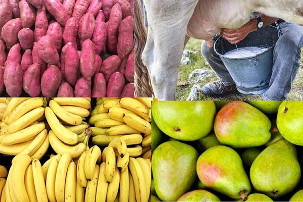 रोग प्रतिरोधी शक्ति बढ़ानें बच्चों को दें ये आहार रोग प्रतिरोधी शक्ति बढ़ानें बच्चों को दें ये आहार