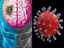  श्वसन तंत्र के मुकाबले मरीजों के मस्तिष्क को ज्यादा नुकसान पहुंचाया कोरोना ने