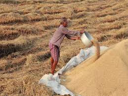 एमएसपी पर धान बेचने वाले किसानों की संख्या पहुंची 10 लाख के पार -उत्तर प्रदेश की योगी सकार ने किया अब तक 10 हजार करोड़ का भुगतान