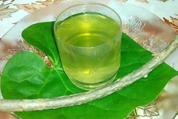 गिलोय से लिवर को कोई नुकसान नहीं - आयुष मंत्रालय ने रिसर्च का किया खंडन गिलोय से लिवर को कोई नुकसान नहीं - आयुष मंत्रालय ने रिसर्च का किया खंडन