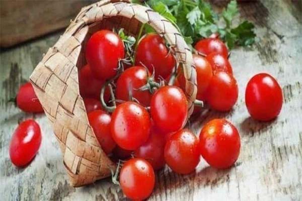 टमाटर के सेवन से लिवर कैंसर का खतरा होता है कम टमाटर के सेवन से लिवर कैंसर का खतरा होता है कम
