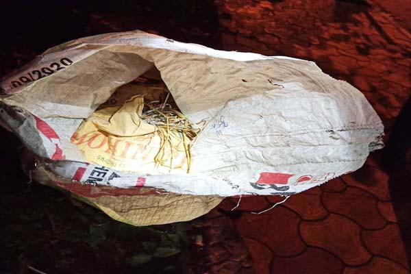 कोलकाता में बीजेपी दफ्तर के पास मिले 51 बम मच गया हड़कंप कोलकाता में बीजेपी दफ्तर के पास मिले 51 बम मच गया हड़कंप