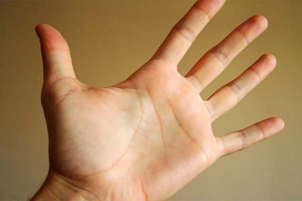 चंद्र पर्वत का है जीवन में अहम स्थान चंद्र पर्वत का है जीवन में अहम स्थान