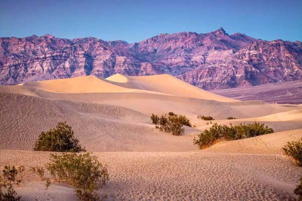 डेथ वैली में रोज नया रेकॉर्ड बनाता दिख रहा तापमान -गर्मी तोड़ देगी 100 साल से भी ज्यादा का रेकॉर्ड डेथ वैली में रोज नया रेकॉर्ड बनाता दिख रहा तापमान -गर्मी तोड़ देगी 100 साल से भी ज्यादा का रेकॉर्ड