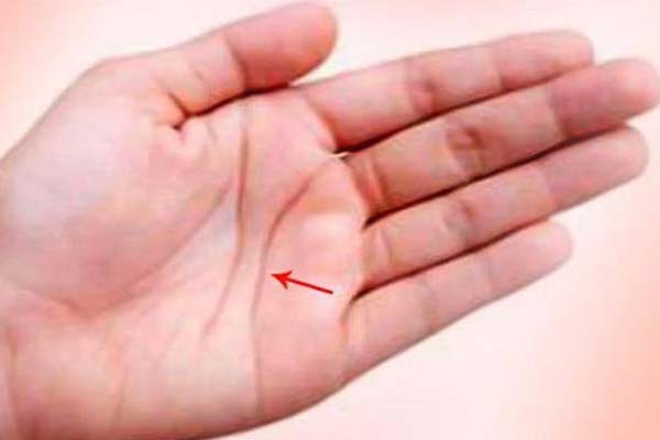 हृदय रेखा छोटी सा फिर हल्की होना अच्छा नहीं हृदय रेखा छोटी सा फिर हल्की होना अच्छा नहीं