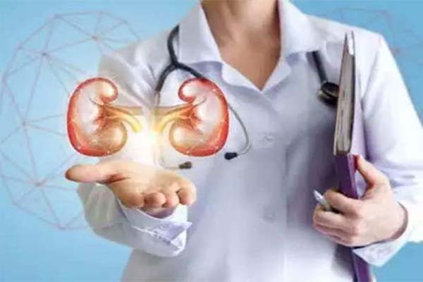होम्योपथी से करें किडनी और फेफड़ों का इलाज होम्योपथी से करें किडनी और फेफड़ों का इलाज