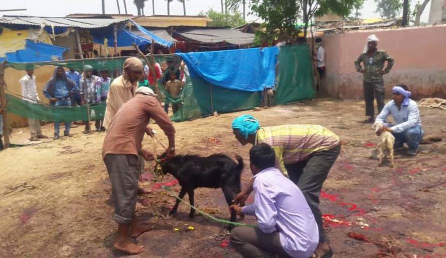बलि देने के कारण जानते हैं आप बलि देने के कारण जानते हैं आप