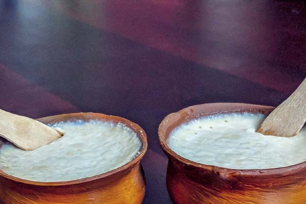 स्वाद और सेहत के लिए मिट्टी की हांडी में जमाएं दही -गांवों में आज भी मिट्टी की हांडी में जमाते है दही स्वाद और सेहत के लिए मिट्टी की हांडी में जमाएं दही -गांवों में आज भी मिट्टी की हांडी में जमाते है दही