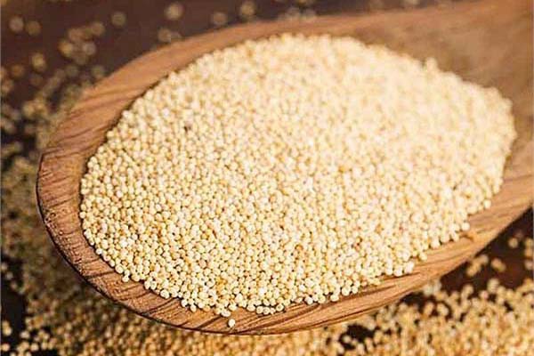 खसखस में है स्वास्थ्य से जुड़ी कई समस्याओं का समाधान - रोजाना ऐसे करेंगे सेवन तो मिलेंगे ये लाभ खसखस में है स्वास्थ्य से जुड़ी कई समस्याओं का समाधान - रोजाना ऐसे करेंगे सेवन तो मिलेंगे ये लाभ